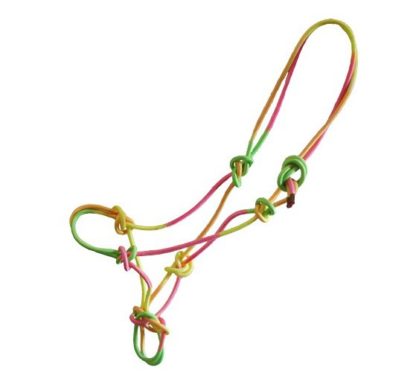 Knotenhalfter "Rainbow"