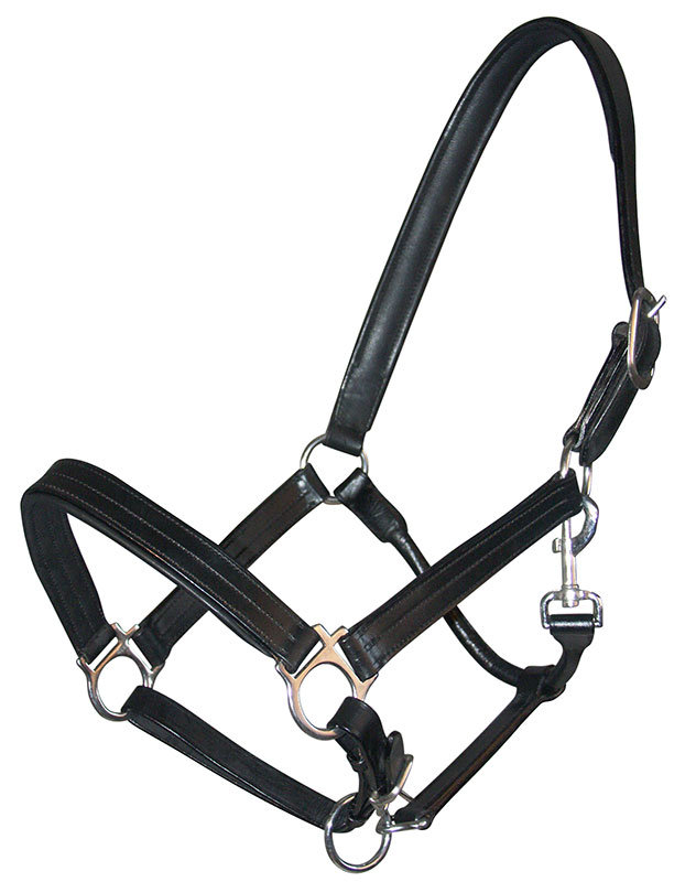 Lederhalfter "Leonis"