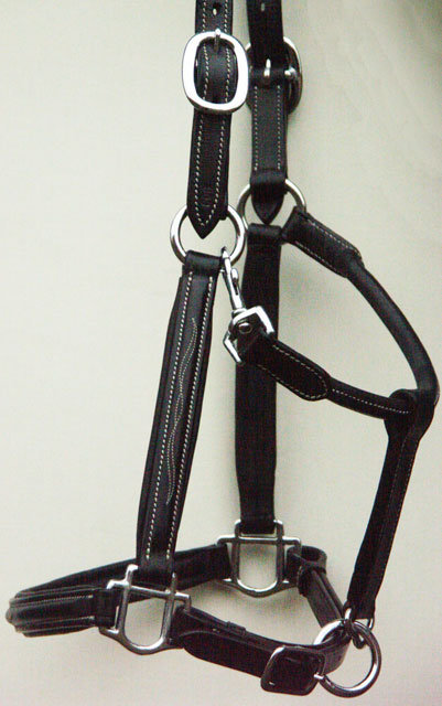 PreCara Lederhalfter "White Décor" Shetty