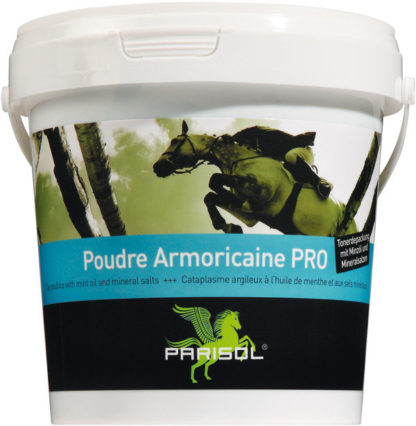 Tonerde Paste - Poudre Armoricaine PRO