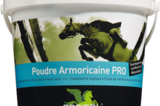 Tonerde Paste - Poudre Armoricaine PRO 3