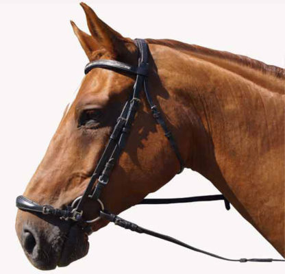 Trense "Hannover - Flex" Cob