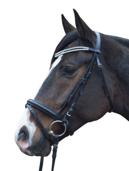 Trensenzaum "PreCara" Cascade Cob schwarz