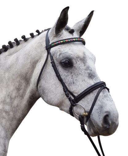 Trensenzaum "PreCara" Fortune Cob schwarz